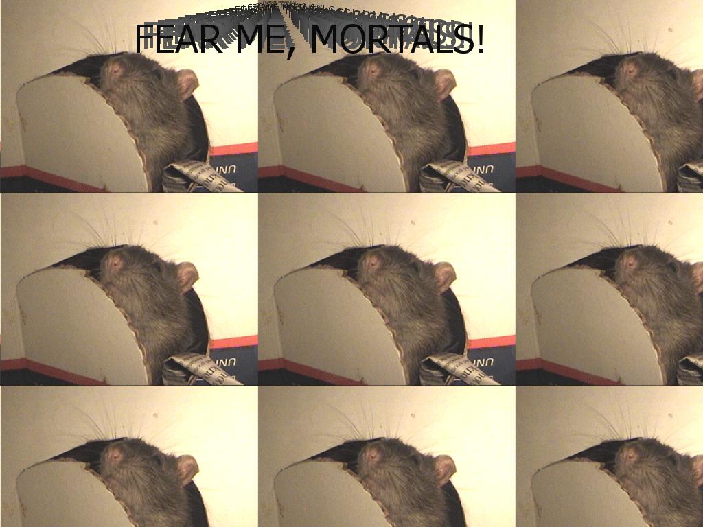 ratroar