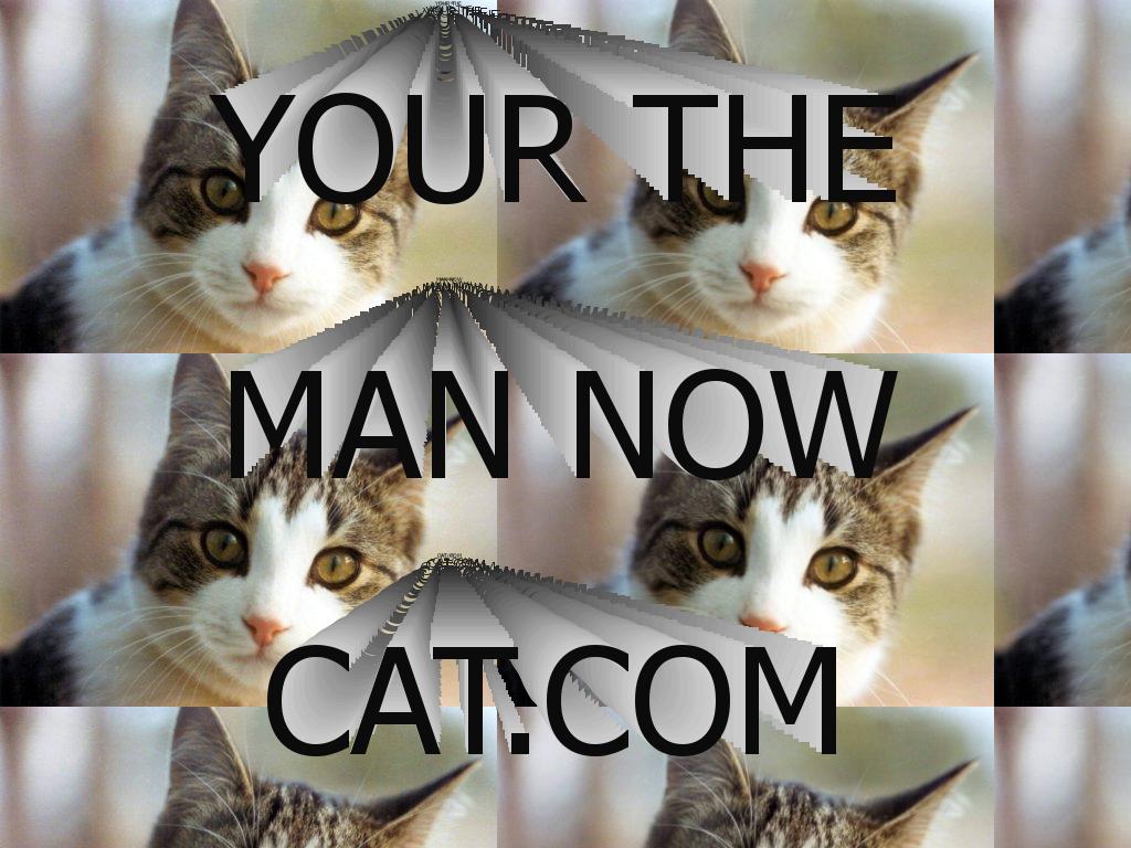 yourethemannowkitty