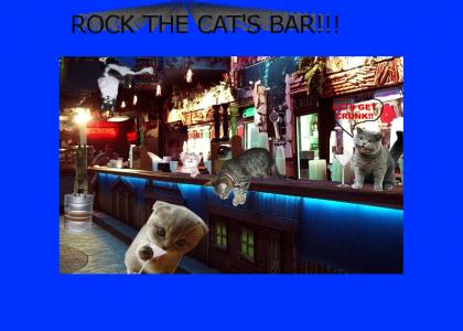 Rock The Cat's Bar