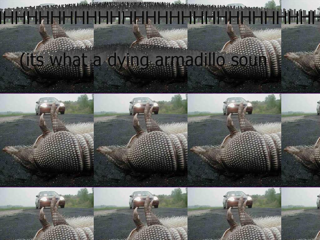 dyingarmadillo