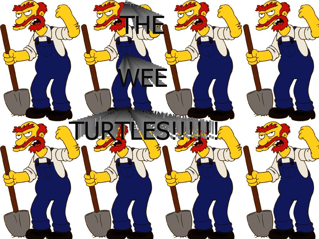 willieturtles