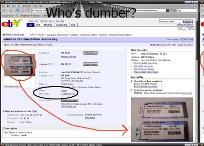 Free Windows Xp Key - Who's dumber?