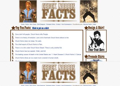 Hi, This is Chuck Norris, Id like to personally welcom you to my official website.
