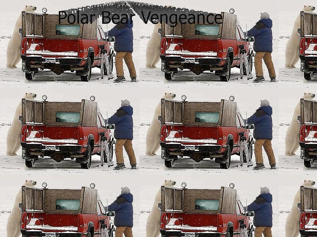 polarbearvengeance