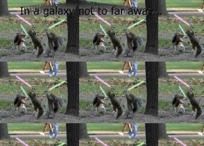 Squirrel Wars - Episode I