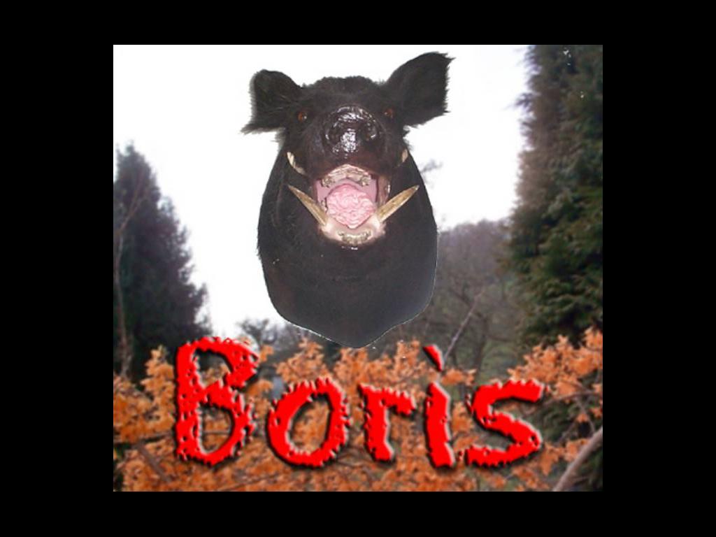 borrris