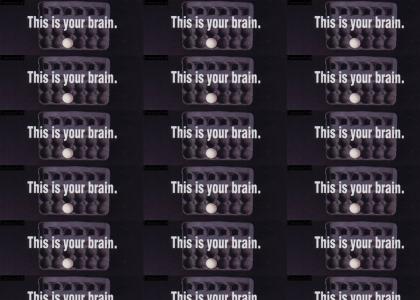 Your Brains!