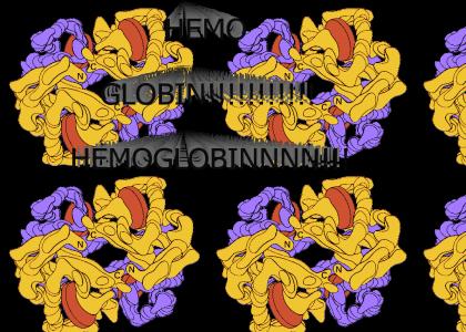 HEMOGLOBIN