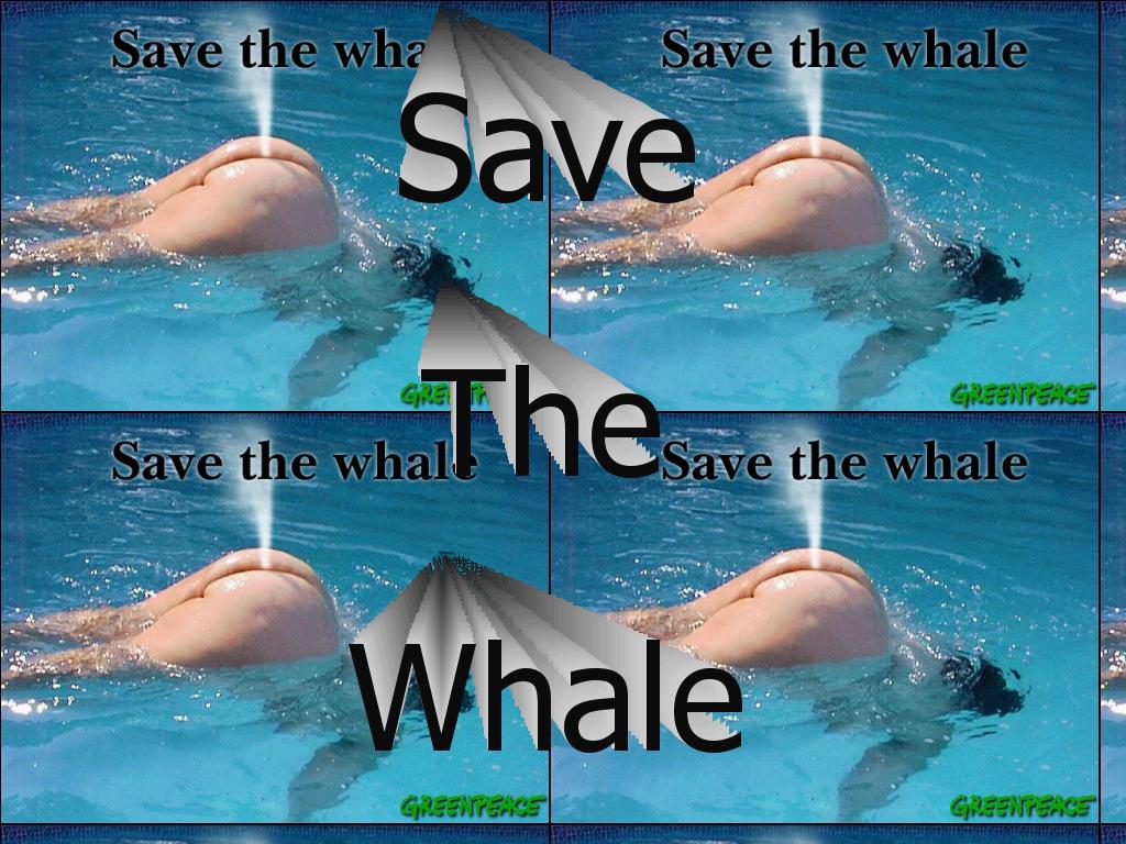 save-the-whale