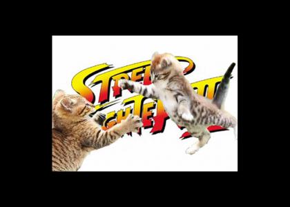 Street Fighter II - Kitty Edition