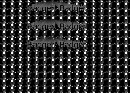 Badger Badger Badger!