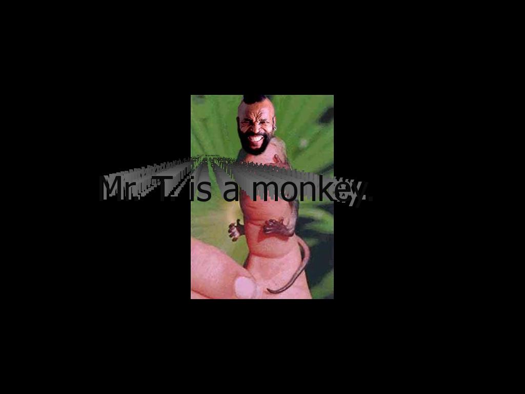 mrtmonkey