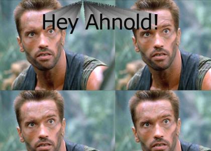 Hey Ahnold!