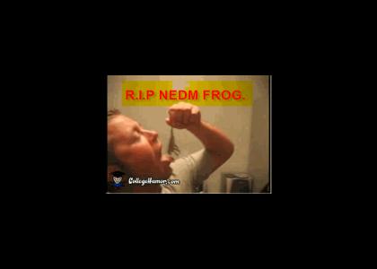 NEDM Frog