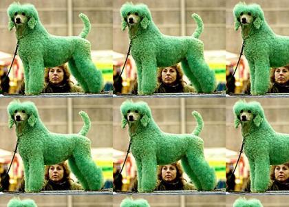 Green Dog