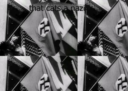 that cats a nazi