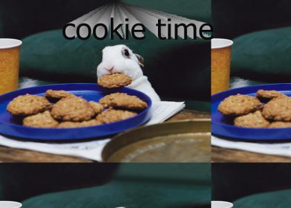 bunny cookie