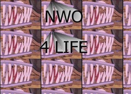 NWO 4 Splinter