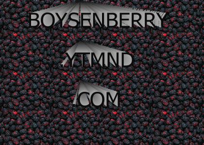 boysenberry.ytmnd.com
