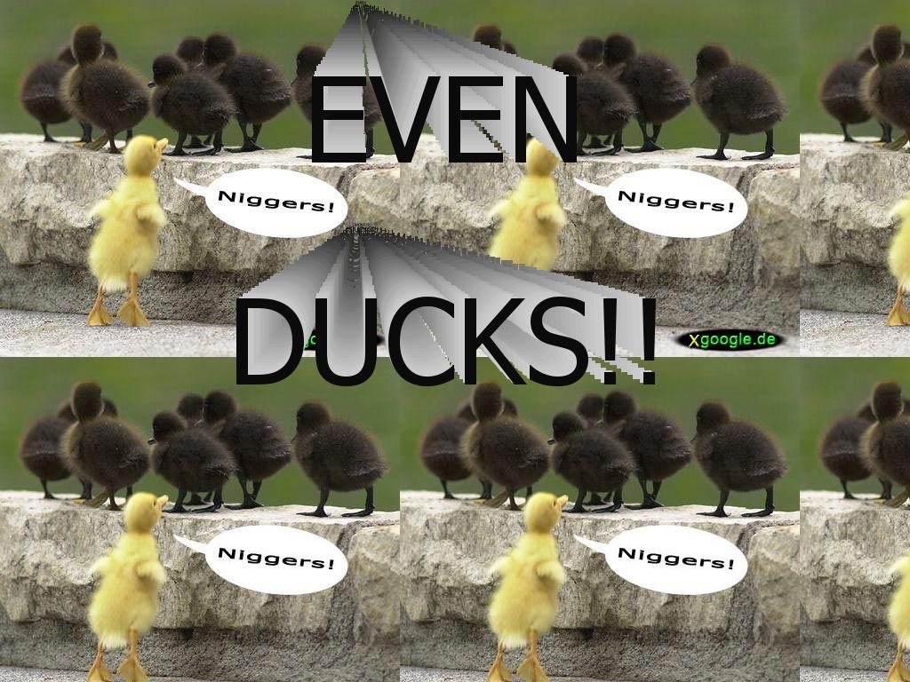 duckniggahate