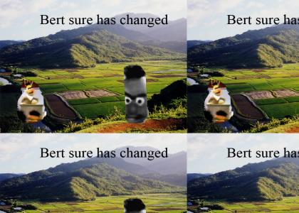 bert, you've come a long way