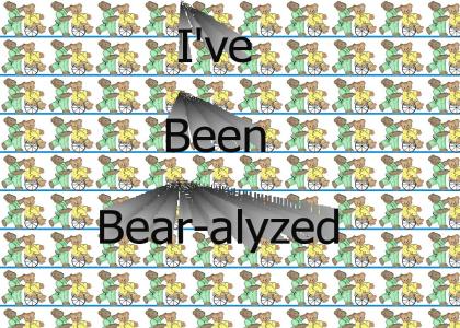 bear-alyzed