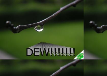 YESYES: Dew