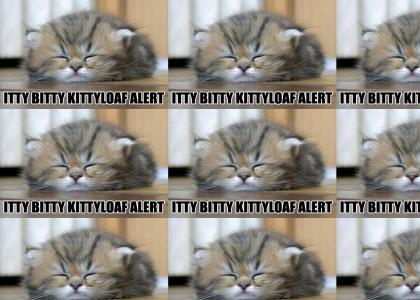 Itty Bitty Kittyloaf Alert!!!!