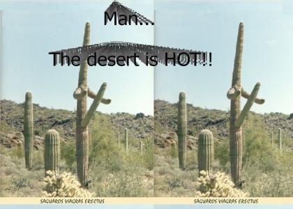 The Desert Is HOT