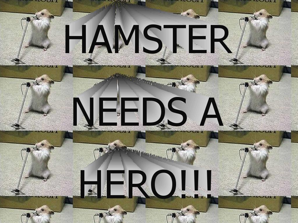 hamsterholding