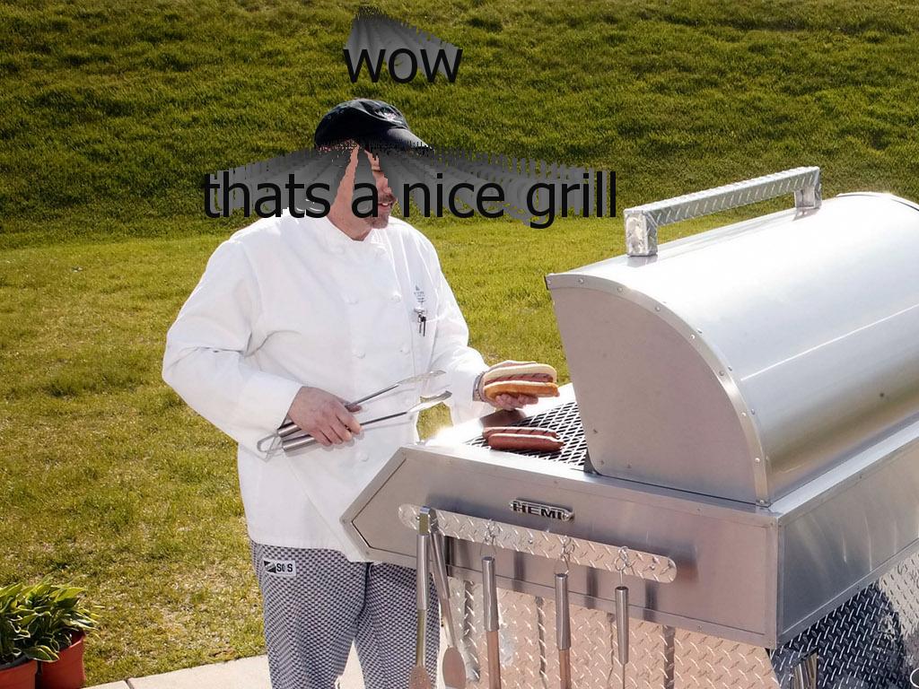 nelysnewgrill