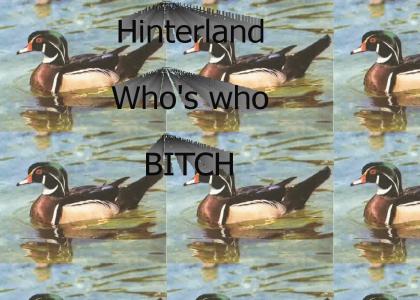 Hinterland Whos who bitch