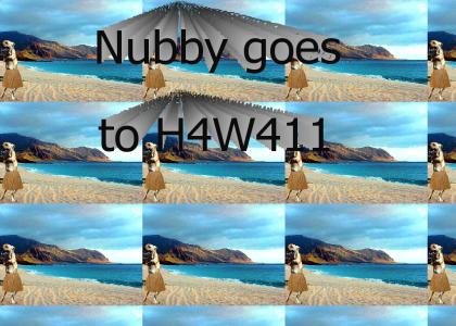 Adventures of Nubby (part 2)