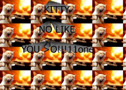 Kitty no like you!!!!