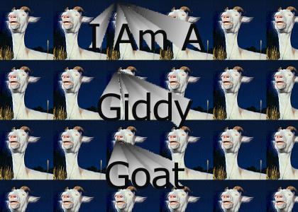 i am a giddy goat