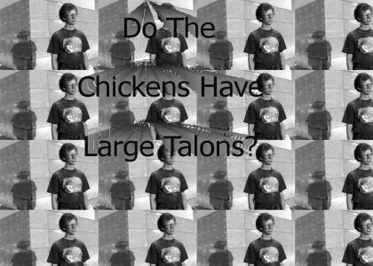 Do The Chickens Have Large Talons