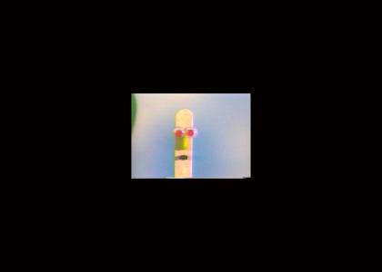 Stick Stickly is watching you.