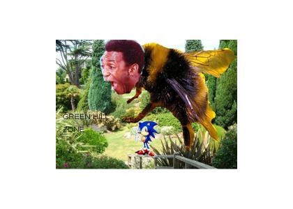 Bee Cosby Invades Green Hill Zone