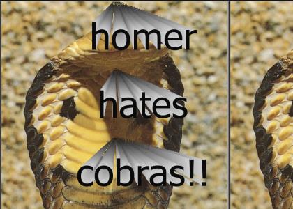 aahh cobras!!