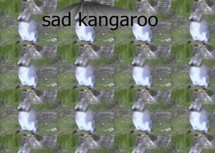 emokangaroo