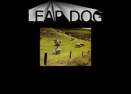 leapdog