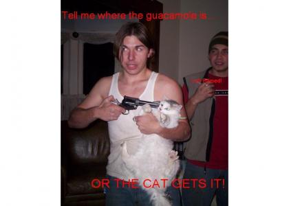 Guacamole Cat
