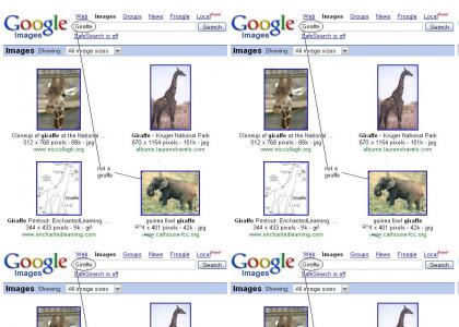 Google Phails at giraffe search