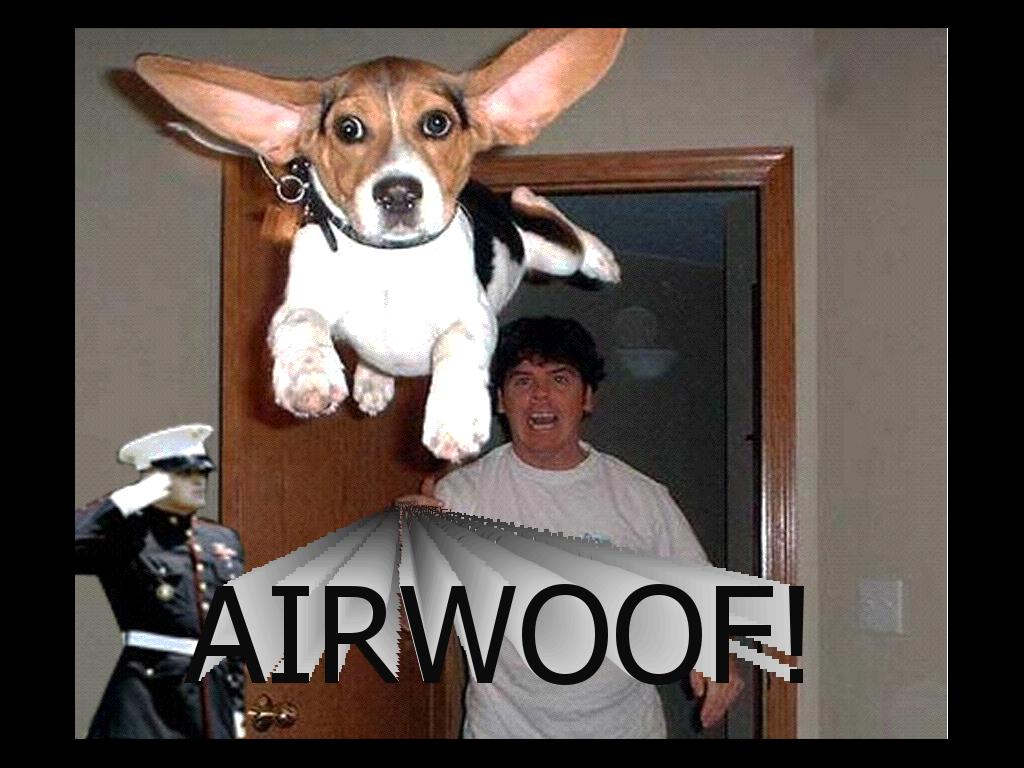 airwoof