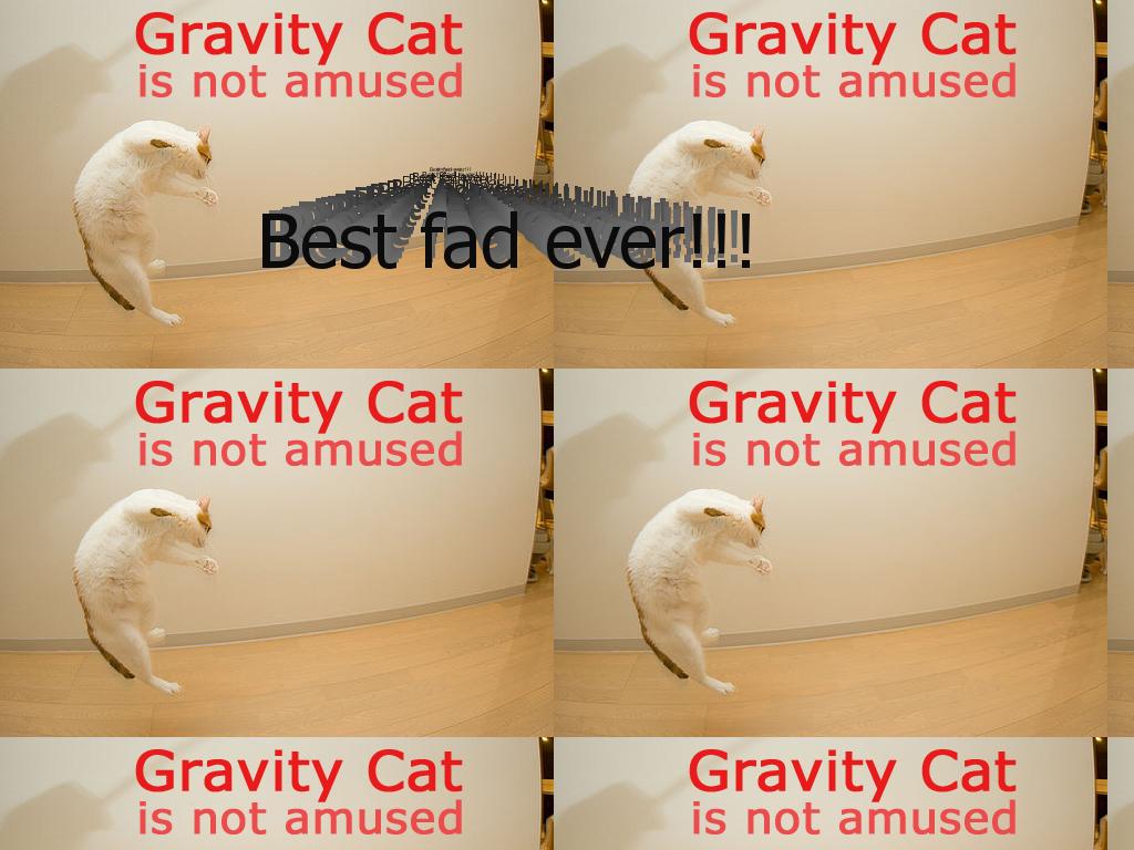 gravitycatownsyoursoul