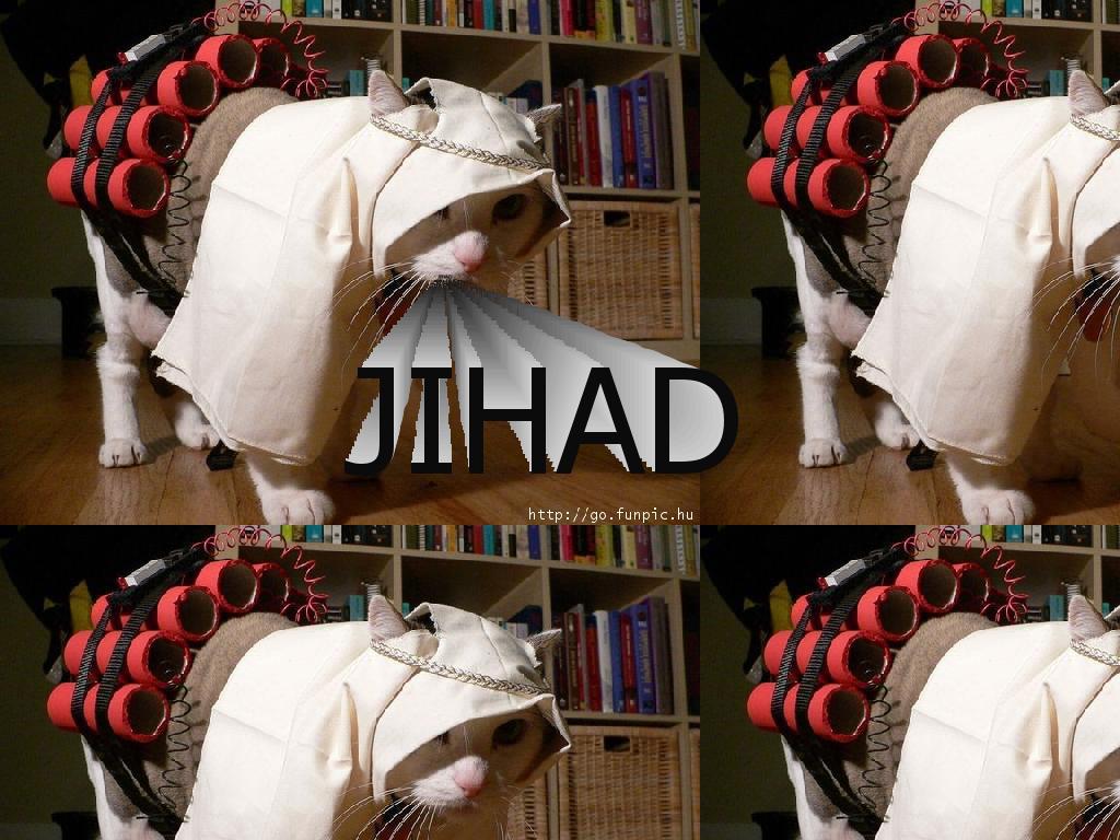 catintheJIHAD