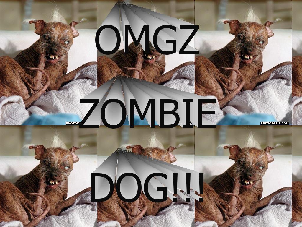 zombiedog