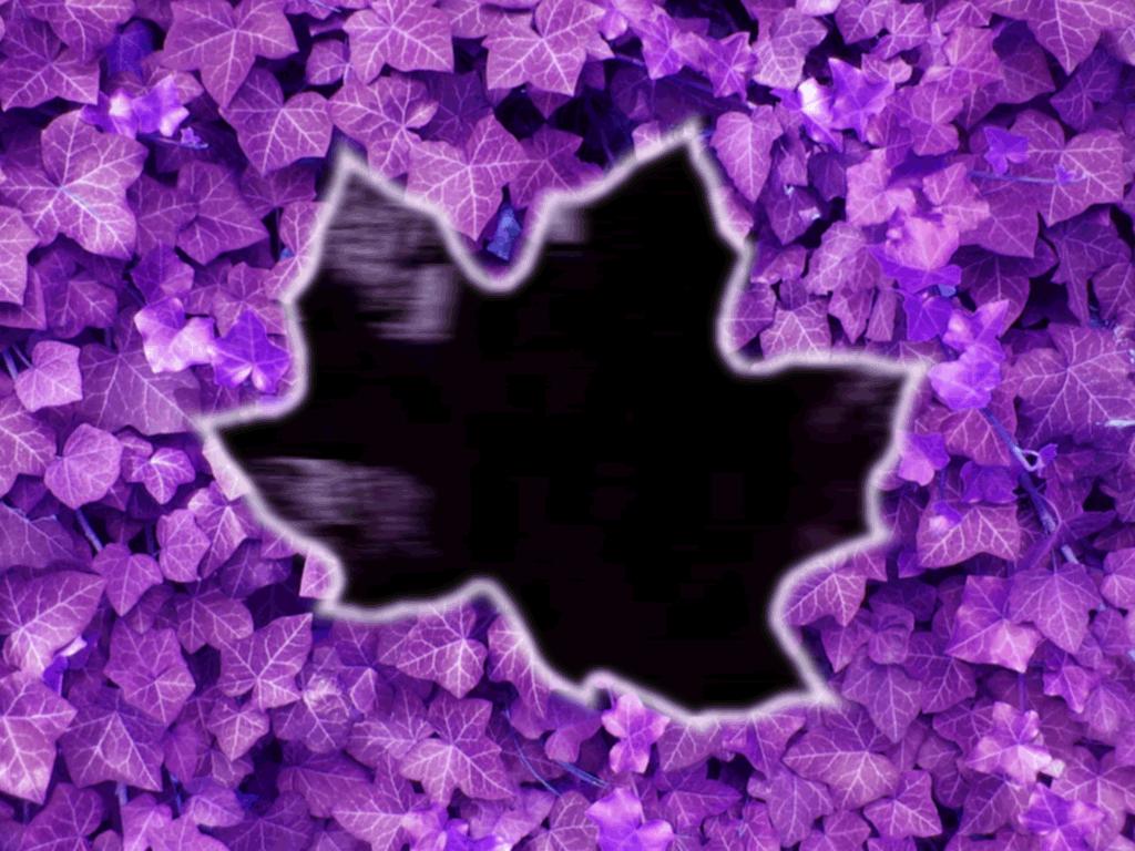 purpleleaves