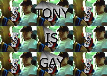TONY IS GAY