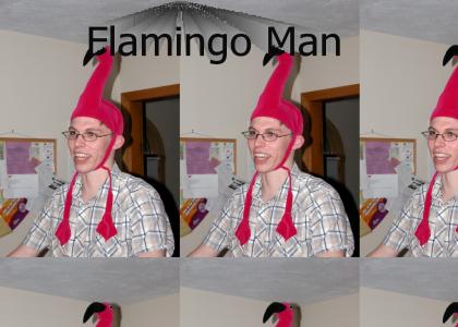 Flamingo Man Is Having A Wonderful Time